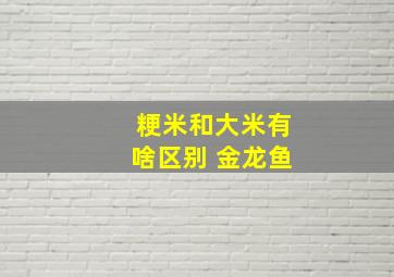 粳米和大米有啥区别 金龙鱼